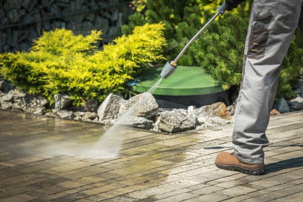 Best Window and Screen Pressure Cleaning in South Temple, PA